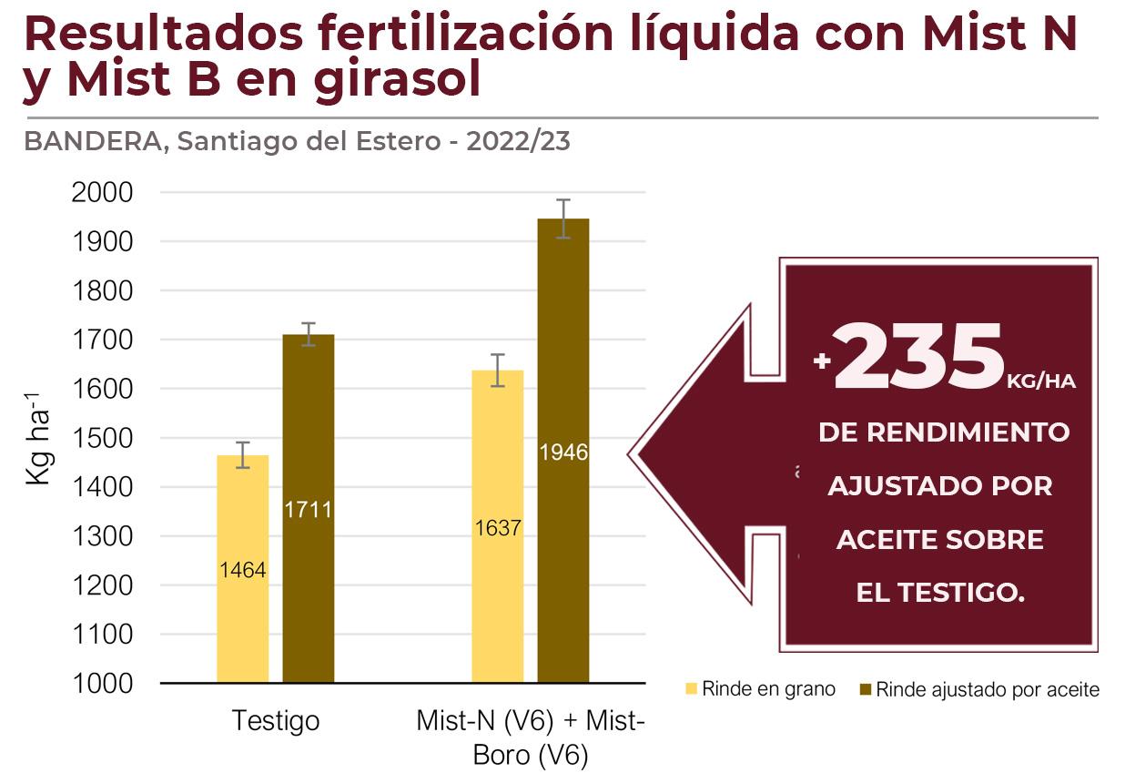 Resultados girasol bandera